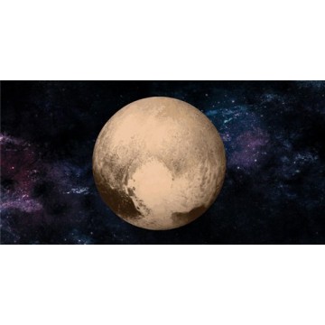 Pluto Photo License Plate